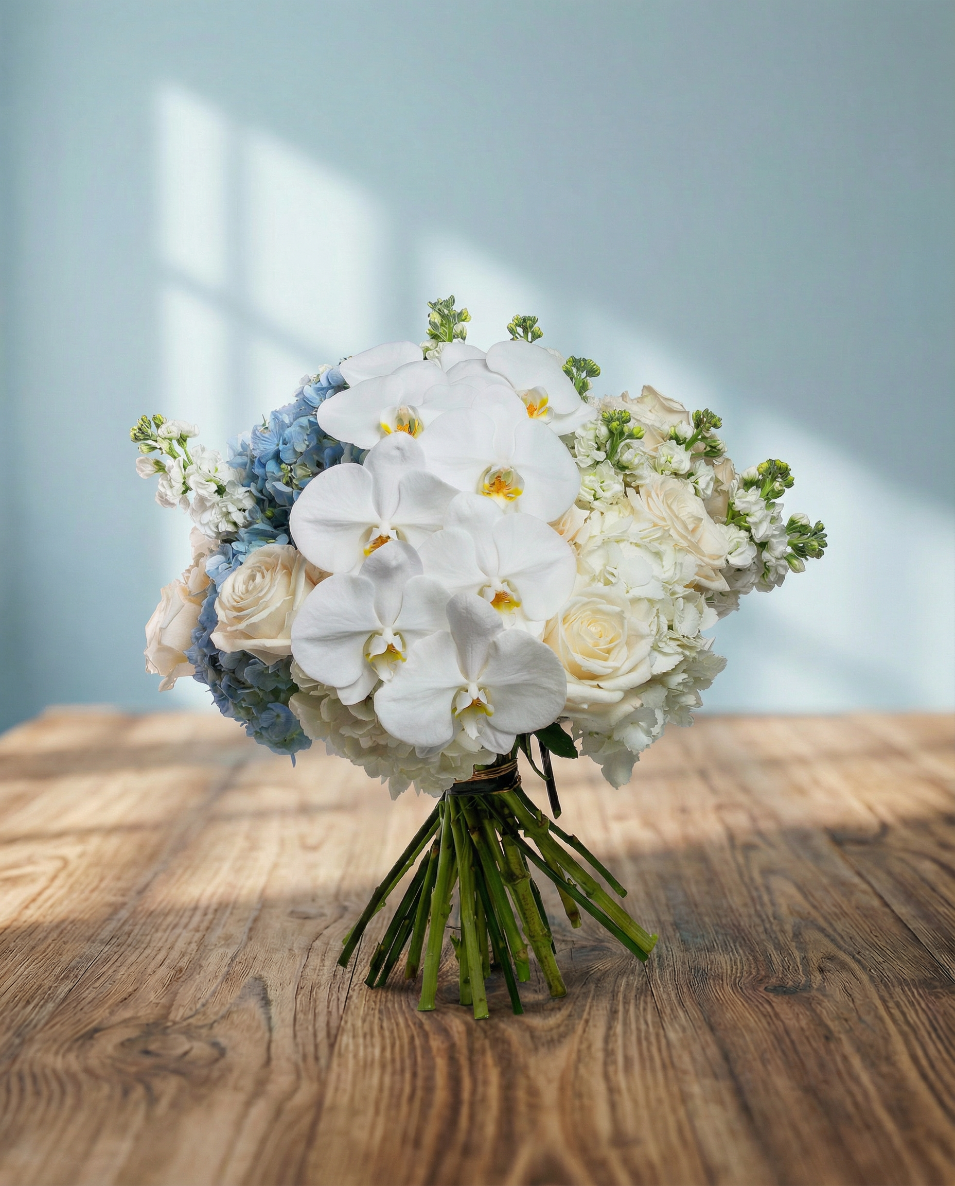 Mathiola White,
Hydrangea Blue,
Hydrangea White,
Rose Ecuador Quick Sand Cream, Phalaenopsis Sensation White.