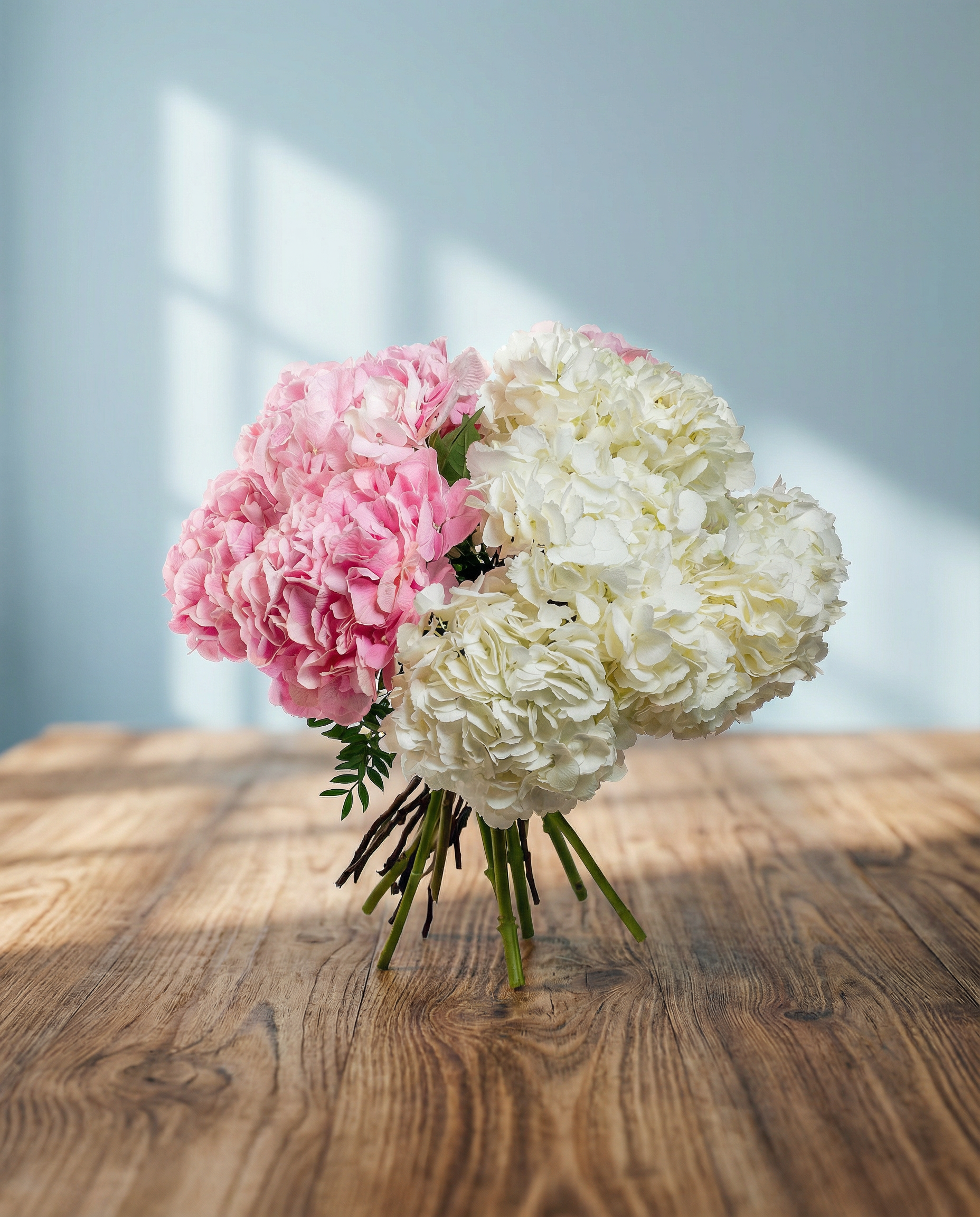 Hydrangea White, Hydrangea Force Pink.
