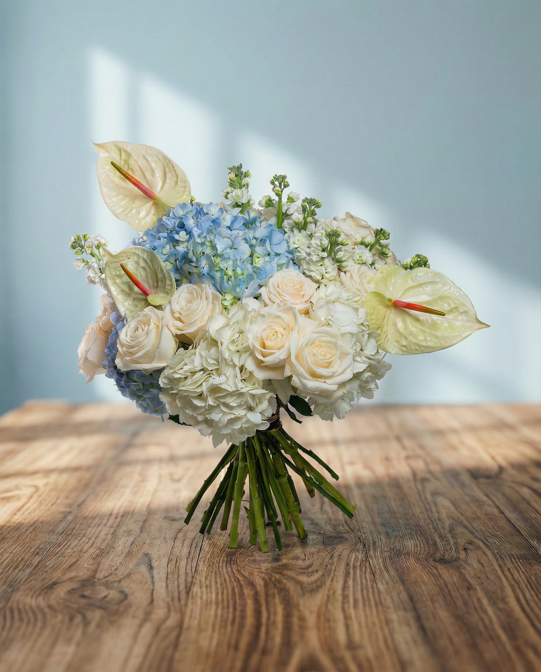 Mathiola White, Hydrangea Blue, Hydrangea White, Rose Ecuador Quick Sand Cream, Anthurium Champagne White.